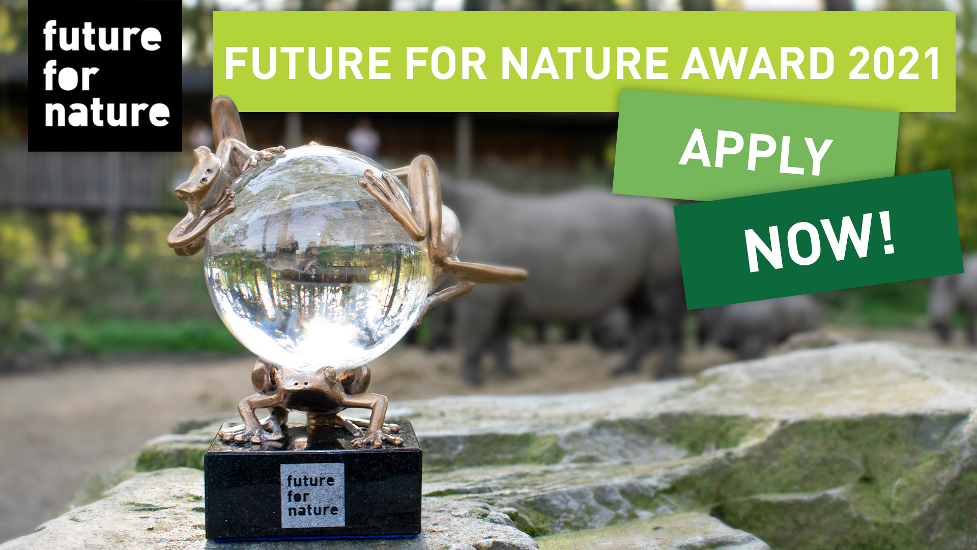 The application for the Future For Nature Awards 2021 is now open – Amphibian Survival Alliance