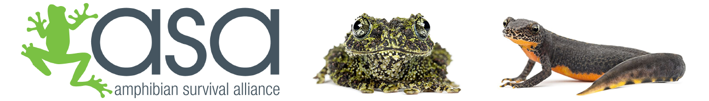 https://www.amphibians.org/wp-content/uploads/sites/3/2019/04/headerlogo.png